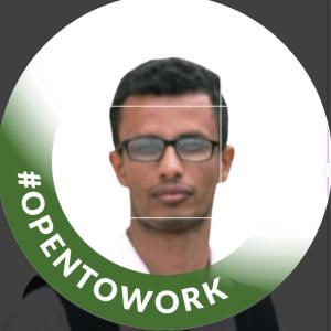 Mohammed Ahmed Othman image