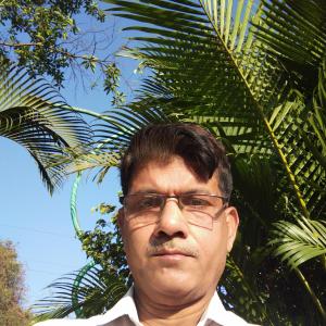 Awanindra Pandey image