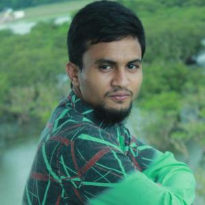 Johurul Hasan Adil image