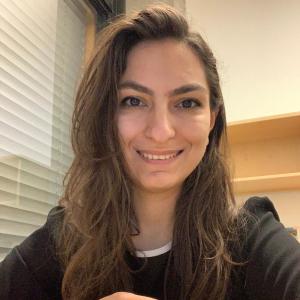 Elnaz Alikarami image