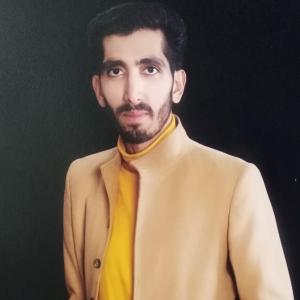 Seyed Mohammad Alavi image
