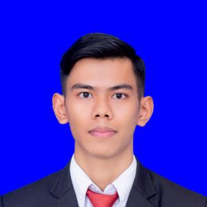 I Made Dion Permana image