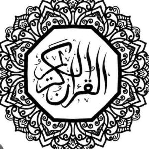 Aqsa Zulfiqar image