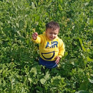 Ayesha Ijaz image