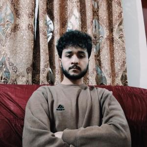 Hassan Ahmad image