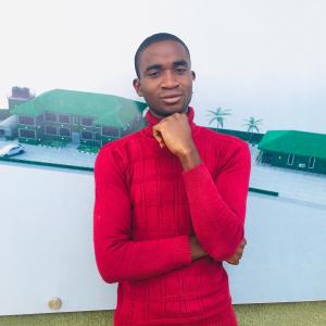 Babasola Godwin Akinlabi image