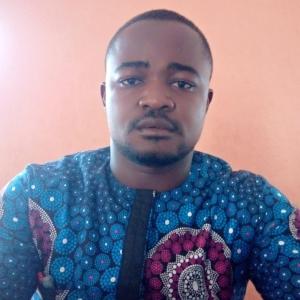 Osita Chukwuemeka David image