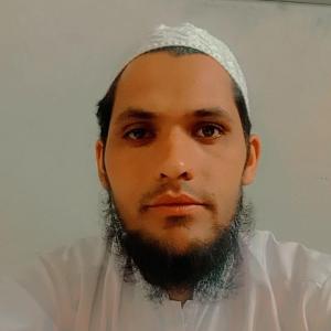 Bakht Malik image
