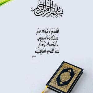 Ayesha Mulla image