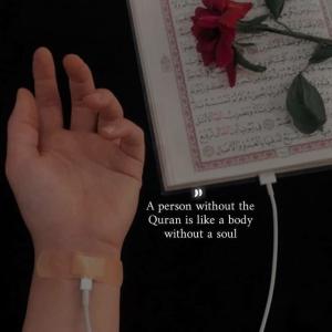 Salimah image
