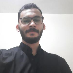 Ahmed Almasry image