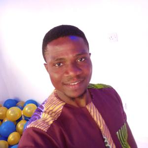 Augustine Ndubuisi Ndulue image