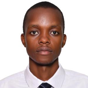 Kelvin N image