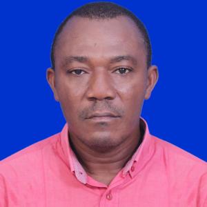 Reginald Ngonadi image