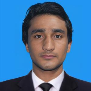 Muhammad Naseem image
