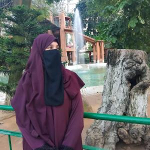 Numaira Karim image