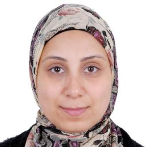 Sara Tayel image