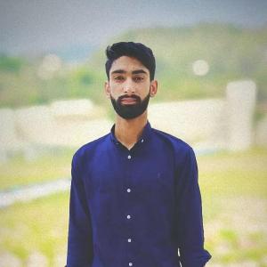 Ahmed image