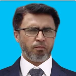 Muhammad Waseem image