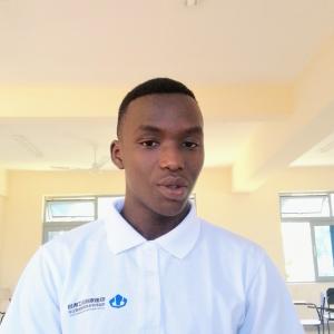 Festus image