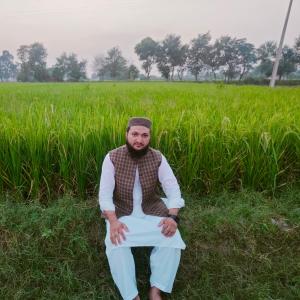Muhammad Umar image