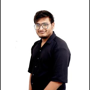 Ritvik Garg image