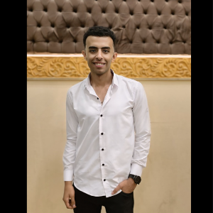 Mohamed Usama Khamis image