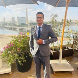 Ismail Sobhy image
