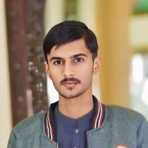 Muhammad Hamza image