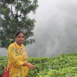 Geetha image