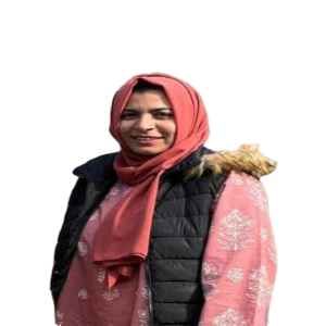 Nosheensarwar image