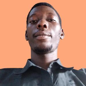Adebayo Ogunsina image