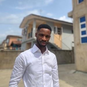 Akinola Ajibola image