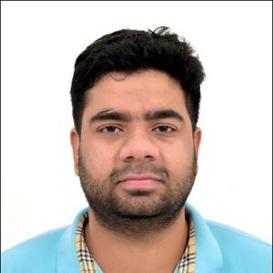 Ankit Aseeja image