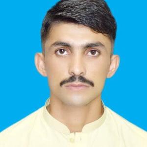 Safdar Hussain image