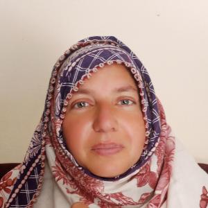 Humaira Gull image