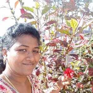 Prasheeba image