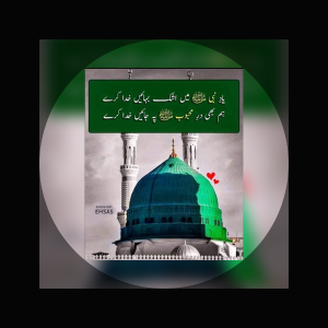 Tehreem image