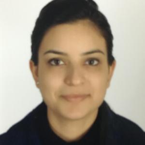Pravleen Kaur image