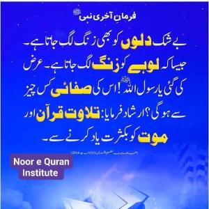 Sana Naseer image