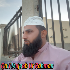 Qari Mujeeb image