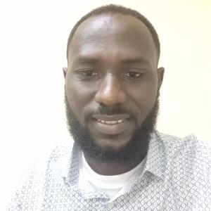 Lekan Ogunleye image