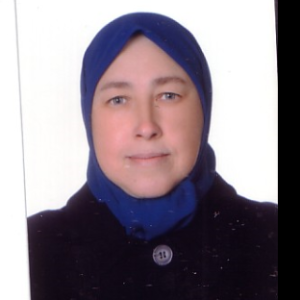 Hala Loulou image
