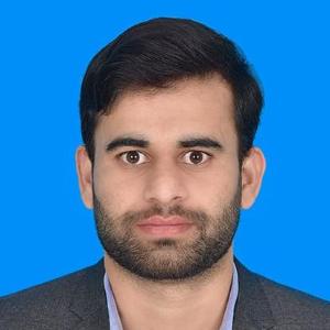 Ansar Mehmood image