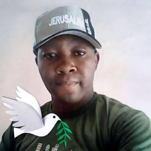 Ofoegbu Joseph Chileakam image