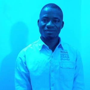 Olateju Bolarin image