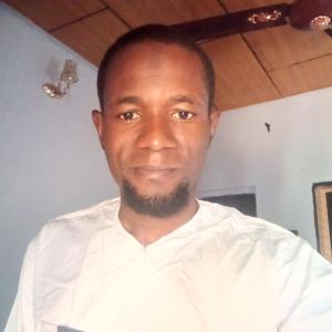 Ibrahim Hadi Gidado image