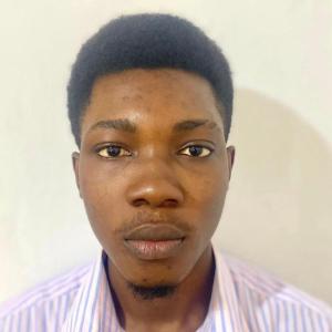 Derrick Boateng image