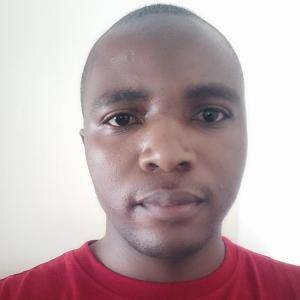 Tanyaradzwa Samson Chibanda image