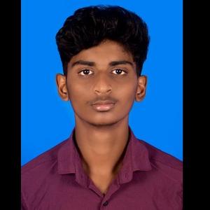 Vignesh B image